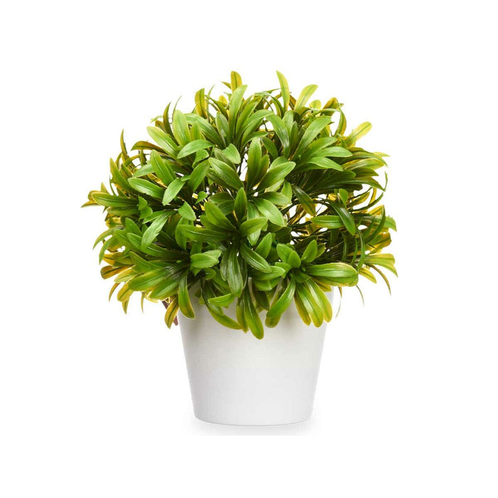 Plantă decorativă Plastic 17 x 17 cm (6 Unități)