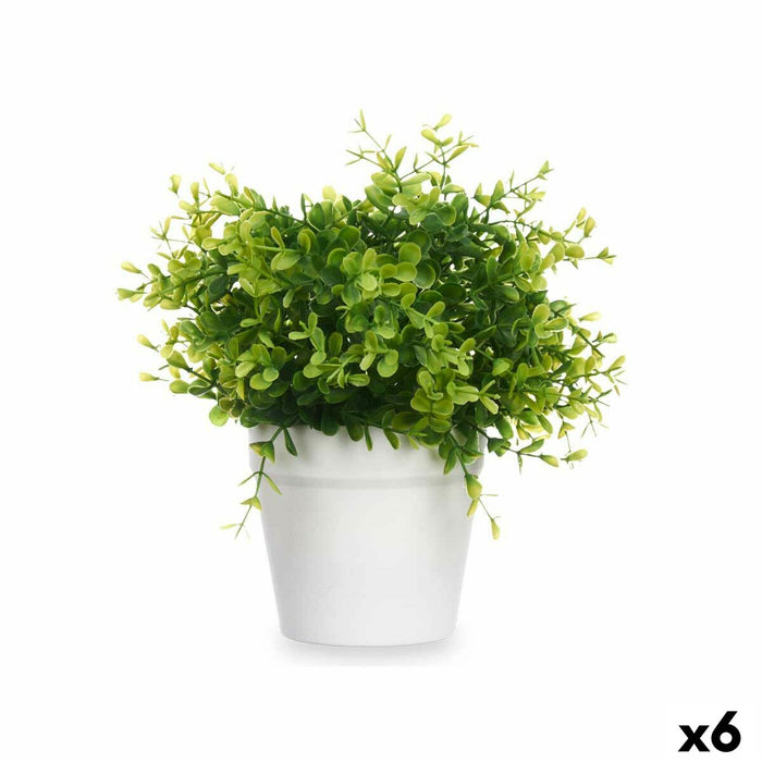 Plantă decorativă Plastic Mic (6 Unități)