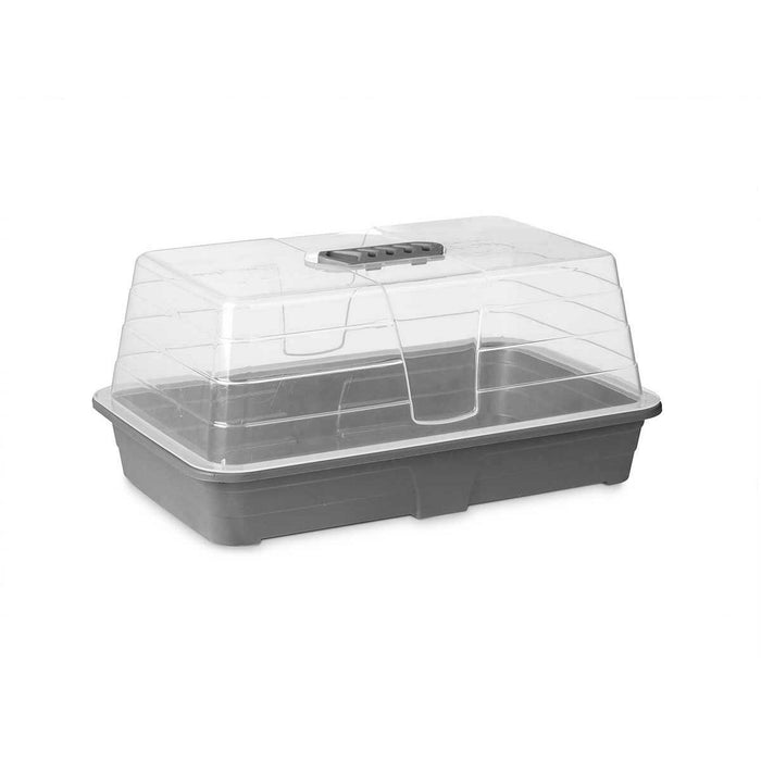 Seră Gri Transparent Plastic 38,4 x 17,5 x 24,7 cm (8 Unități)