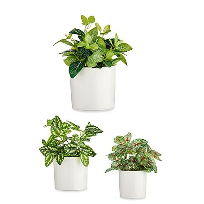 Set de ghivece Ø 14 cm Ø 22 cm Ø 17 cm Cilindru 3 Piese Alb