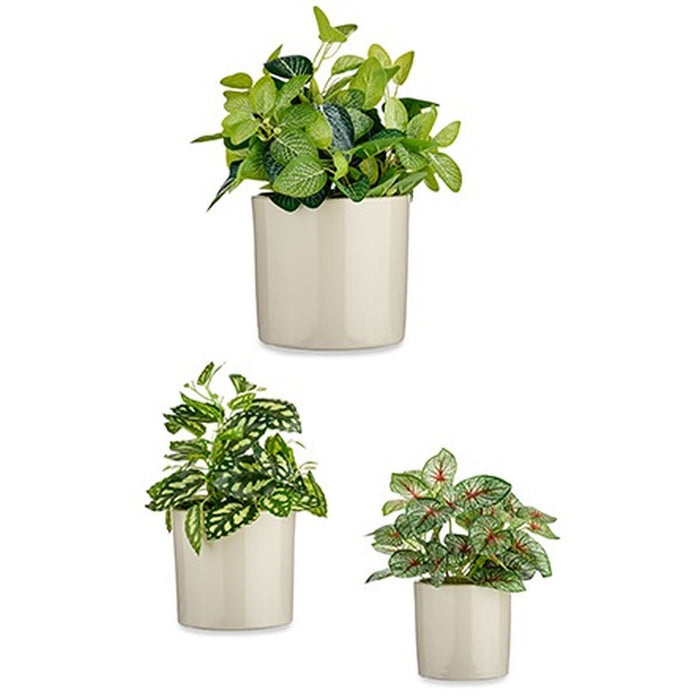 Set de ghivece Ø 14 cm Ø 22 cm Ø 17 cm Cilindru 3 Piese Gri
