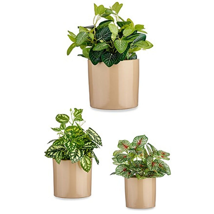Set de ghivece 3 Piese Ø 14 cm Ø 22 cm Ø 17 cm Cilindru Bej