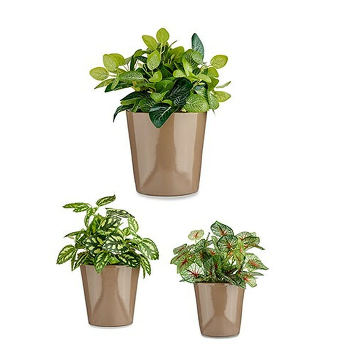 Set de ghivece Ø 14 cm Ø 22 cm Ø 17 cm Cónica 3 Piese Gri Maroniu