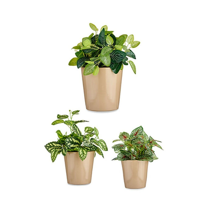 Set de ghivece Ø 14 cm Ø 22 cm Ø 17 cm Cónica 3 Piese Bej