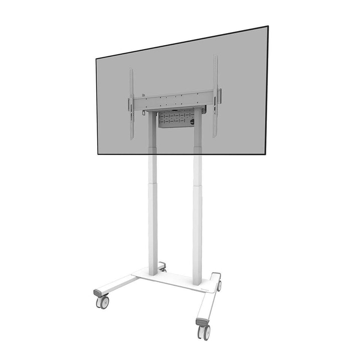 Suport TV Neomounts FL55-875WH1