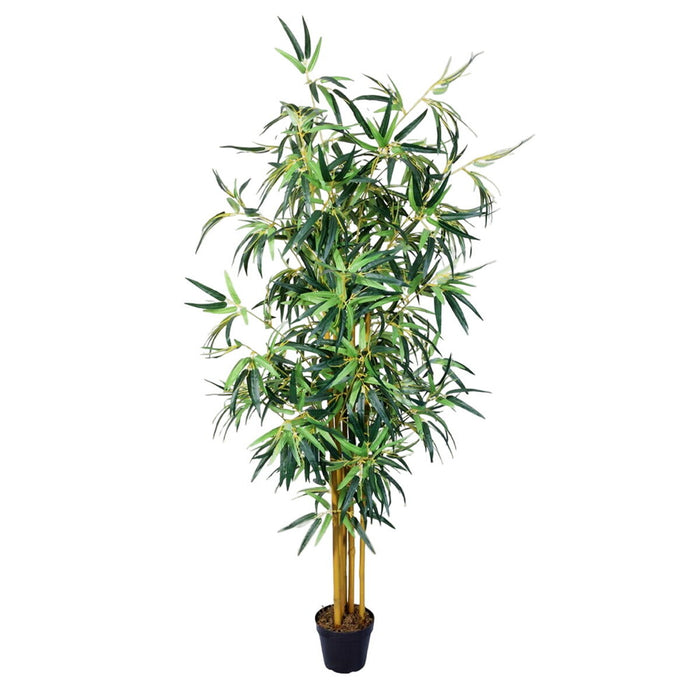 Plantă decorativă Цимент Țesătură Bambus 150 cm