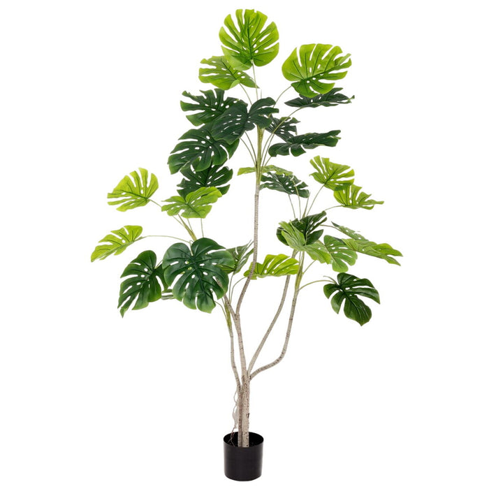 Plantă decorativă Poliuretan Цимент Monstera 180 cm