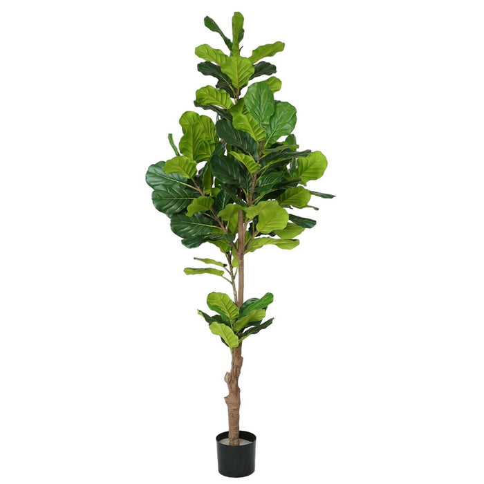 Plantă decorativă Poliuretan Цимент Fig 200 cm