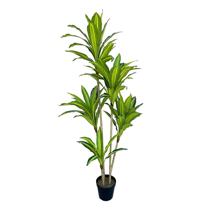 Plantă decorativă Poliuretan Цимент 150 cm