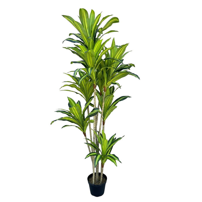 Plantă decorativă Poliuretan Цимент 180 cm