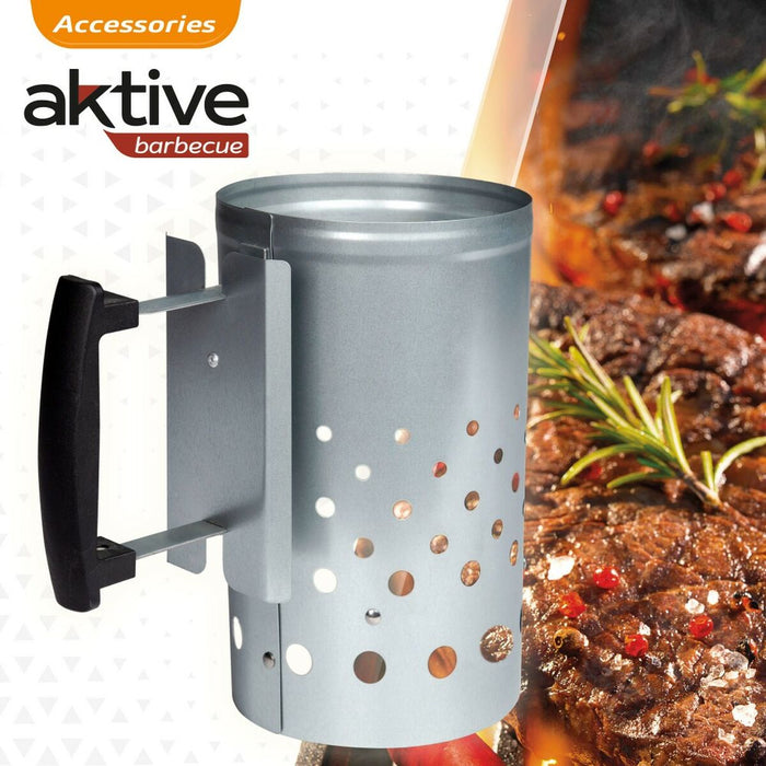 Brichetă Aktive Plastic oțel galvanizat 29,5 x 27,5 x 18 cm (4 Unități)