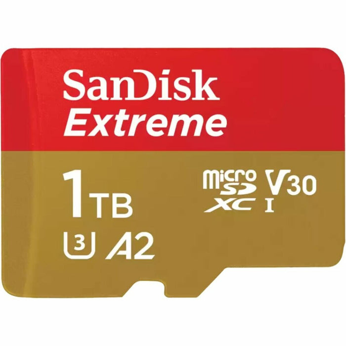 Card Micro SD SanDisk SDSQXAV-1T00-GN6MA 1 TB