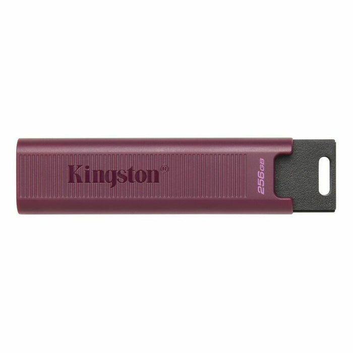 Memorie USB   Kingston Max         Roșu 256 GB