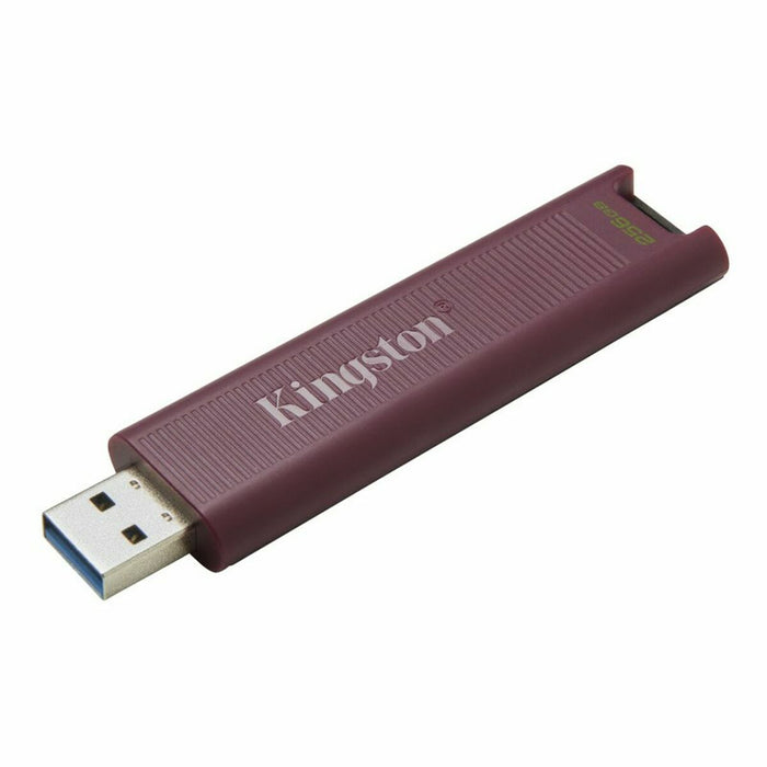 Memorie USB   Kingston Max         Roșu 256 GB
