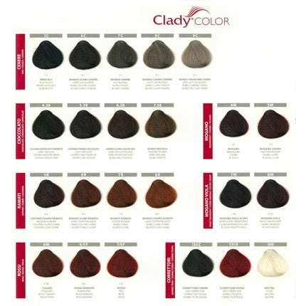 Clairol Clady Color, Cremă vopsitoare păr, Cenușiu (3.1), 50ml + 80ml