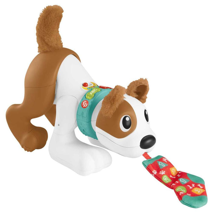 Jucărie interactivă Mattel Fisher Price Crawl With Me Puppy, 6–36 luni