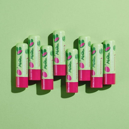 Balsam de Buze Organic Melvita