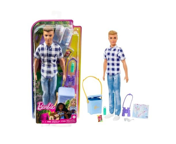 Păpușă Mattel Barbie, Ken la camping, cu accesorii