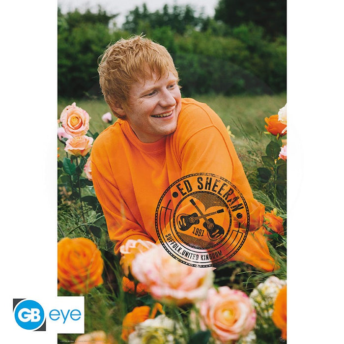 Poster GB EYE music Ed Sheeran, Rose Field, format maxi, 91,5 × 61 cm