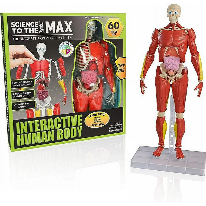 Set educativ Born to Play Science To The Max, corp uman interactiv, 60 de piese, 8+ ani
