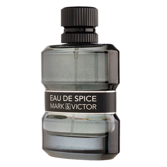 Apă de parfum Fragrance World Eau De Spice, pentru bărbați, 100 ml