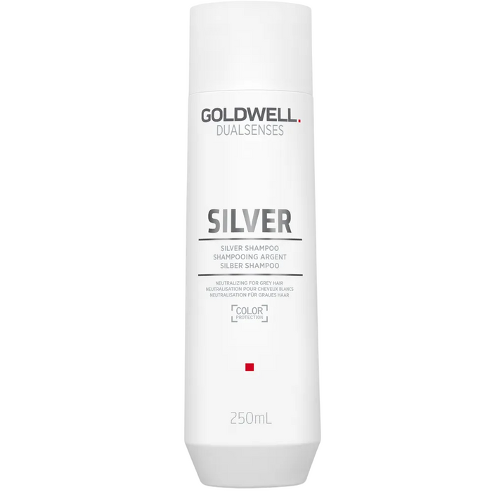 Șampon Goldwell Dualsenses Silver, pentru păr cărunt, cu protecția culorii, 250 ml