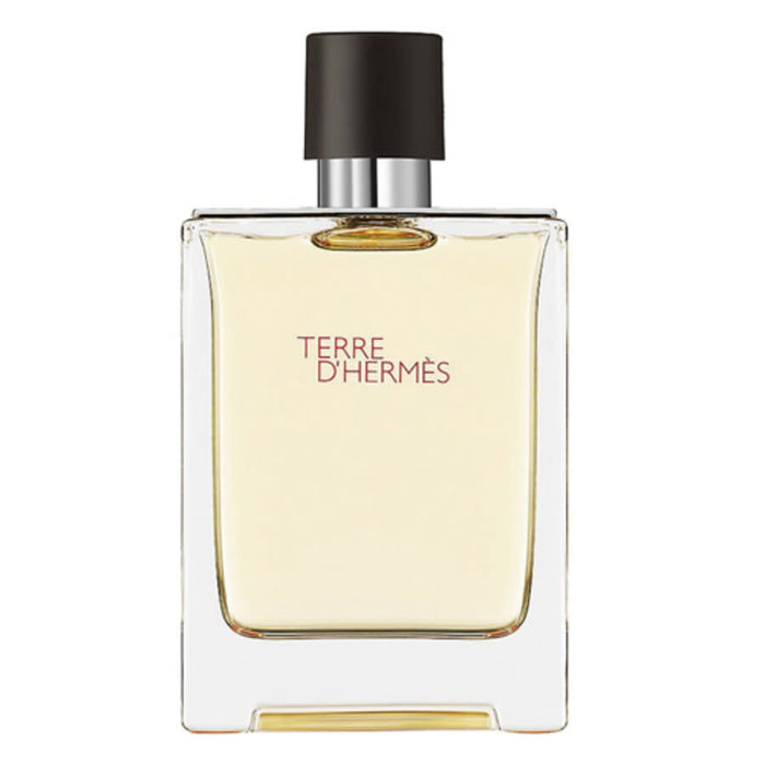 Apă de toaletă Hermes Terre d'Hermes, pentru bărbați, 100 ml, tester