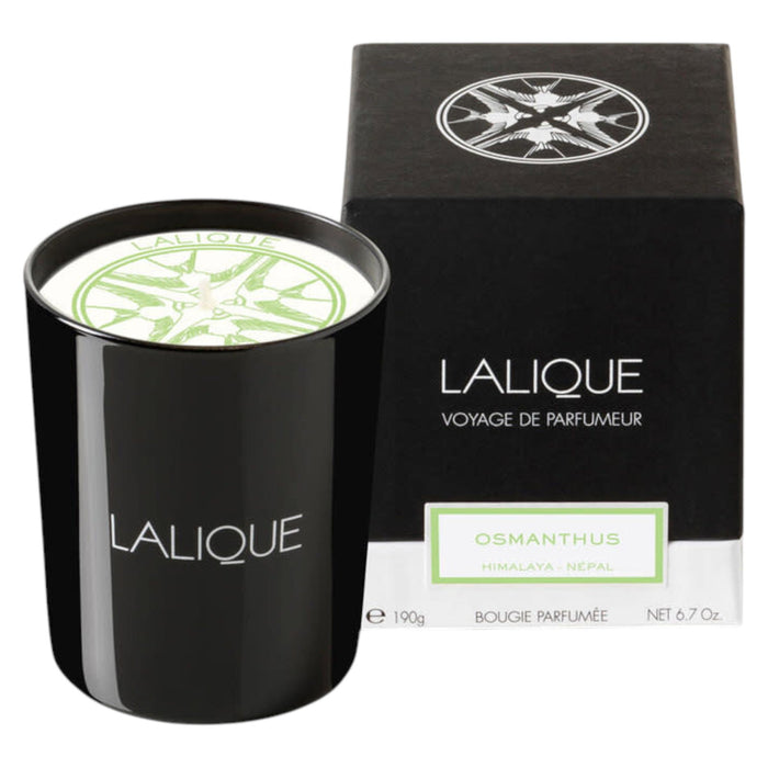 Lumânare parfumată Lalique Osmanthus Himalaya Nepal, 190 g