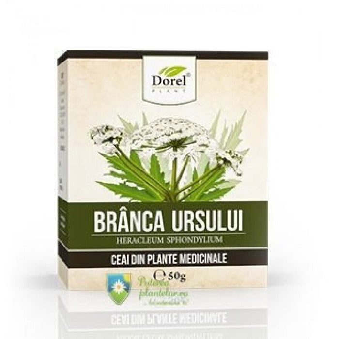 Plantă uscată, Dorel Plant, Brânca Ursului, 50 g
