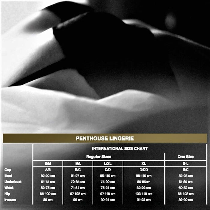 Body plasă, Penthouse, Scandalous Teddy, negru, mărimi diverse