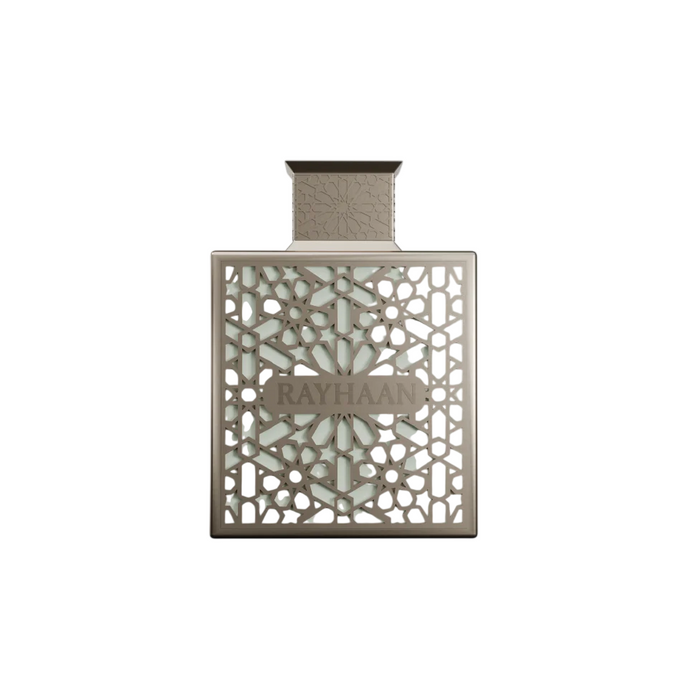 Apă de parfum Rayhaan Terra, pentru bărbați, 100 ml