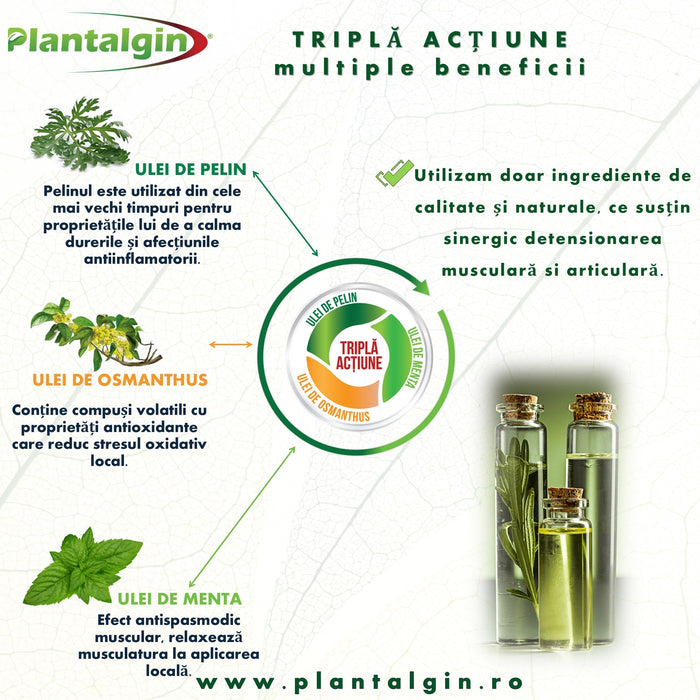 Plasturi Plantalgin cu pelin pentru zona lombară, 6 bucăți
