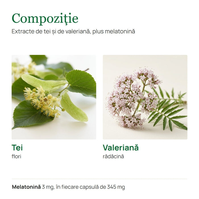 Supliment alimentar Hypericum Somn Liniștit cu melatonină, tei și valeriană, 60 capsule
