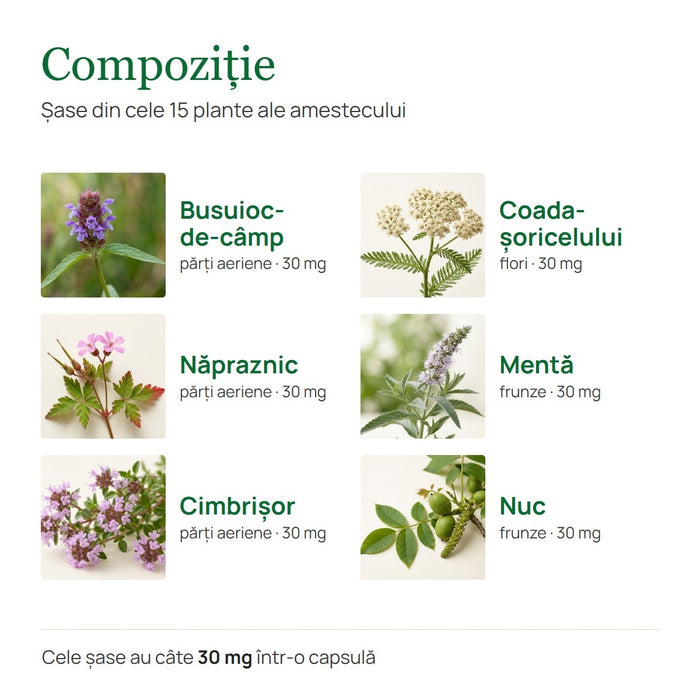Supliment alimentar Hypericum Plant Hyper-Tum, extract din 15 plante, 60 capsule vegetale
