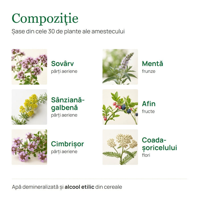 Supliment alimentar Hypericum Bitter Taina Plantelor, extract hidroalcoolic din 30 de plante, 200 ml