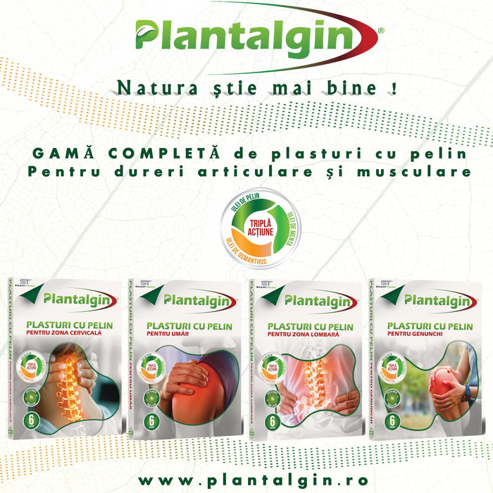 Plasturi Plantalgin cu pelin pentru zona lombară, 6 bucăți