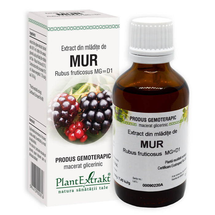 Extract din mlădițe de mur PlantExtrakt, macerat glicerinic, 50 ml