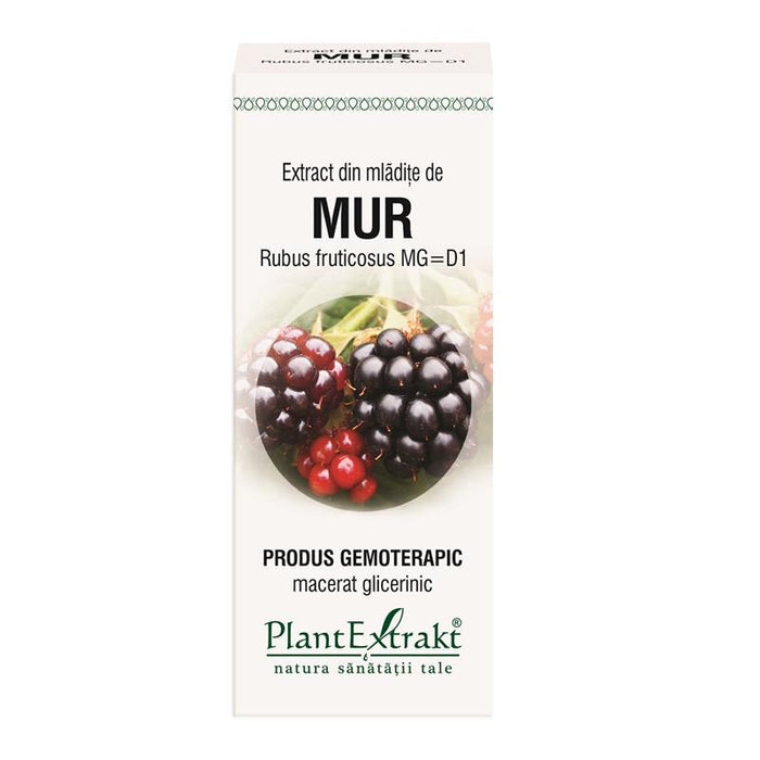 Extract din mlădițe de mur PlantExtrakt, macerat glicerinic, 50 ml