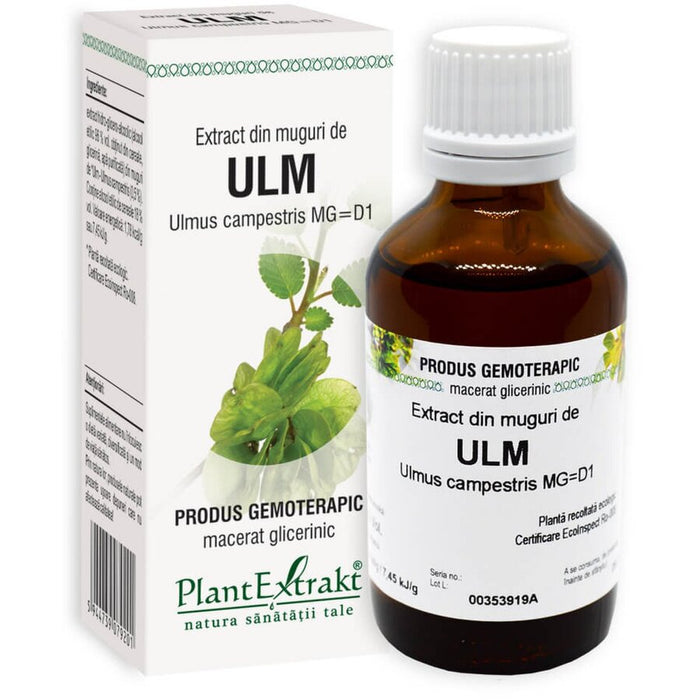 Extract din muguri de ulm PlantExtrakt, 50 ml