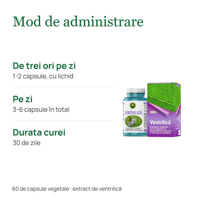 Supliment alimentar Hypericum Plant Ventrilică, extract 220 mg, 60 capsule vegetale