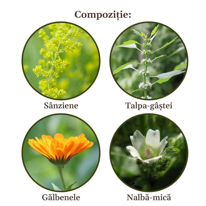 Ceai de plante Faunus Plant Tiroidianus, 90 g