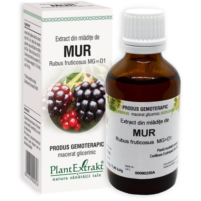 Extract din mlădițe de mur PlantExtrakt, macerat glicerinic, 50 ml