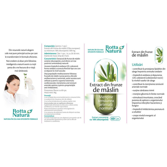 Supliment alimentar Rotta Natura Extract din frunze de măslin, 500 mg, 60 capsule