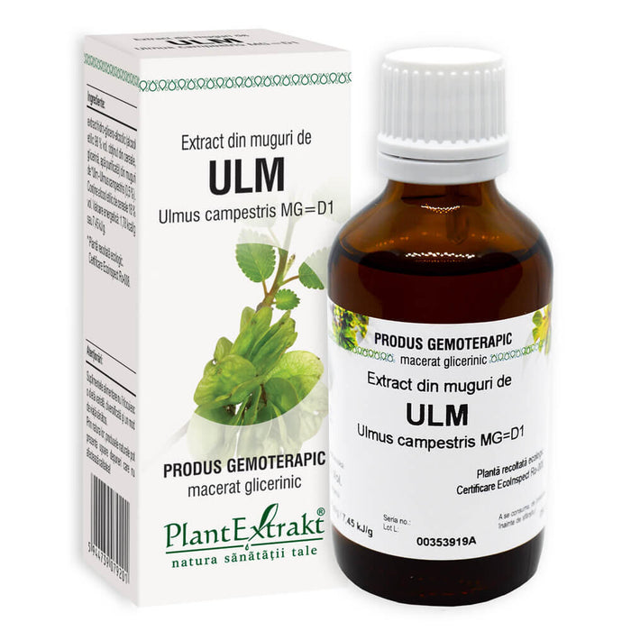 Extract din muguri de ulm PlantExtrakt, 50 ml