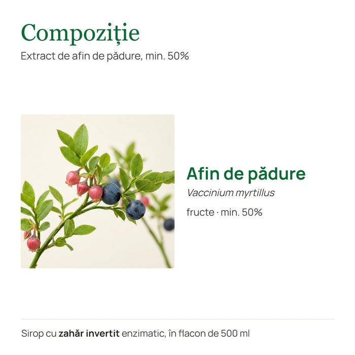Supliment alimentar Hypericum Impex Sirop de afine, cu extract de afin de pădure, 500 ml