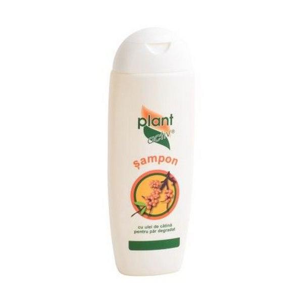 Șampon Plant Activ cu cătină pentru păr degradat, 200 ml