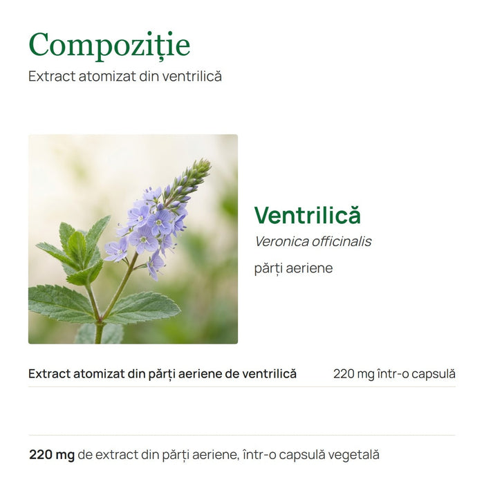 Supliment alimentar Hypericum Plant Ventrilică, extract 220 mg, 60 capsule vegetale