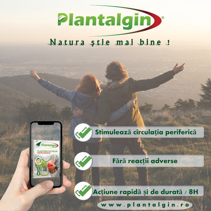 Plasturi Plantalgin cu pelin pentru zona lombară, 6 bucăți