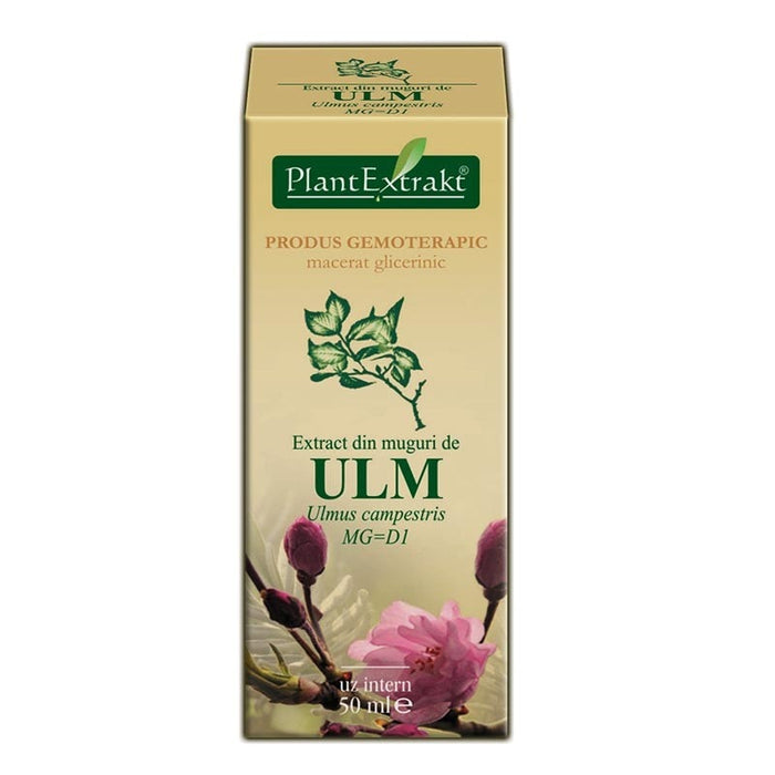 Extract din muguri de ulm PlantExtrakt, 50 ml