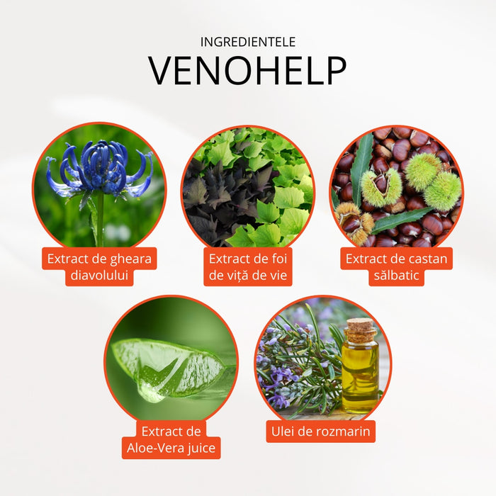 Cremă pentru picioare Dr. Balint Venohelp, 100 ml